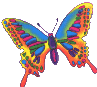 neon_butterfly.gif